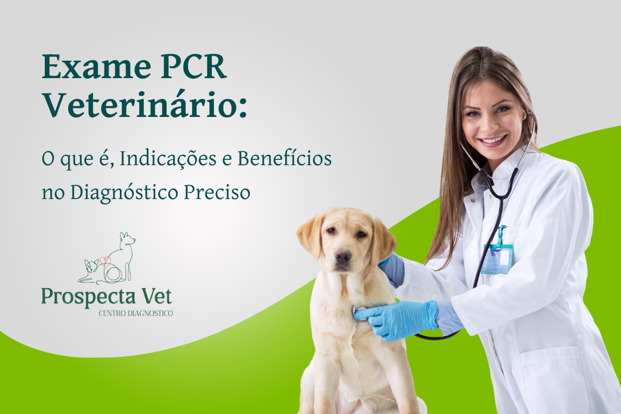 Exame PCR Veterinário: Desvendando o Diagnóstico Preciso para a Saúde do seu Pet
