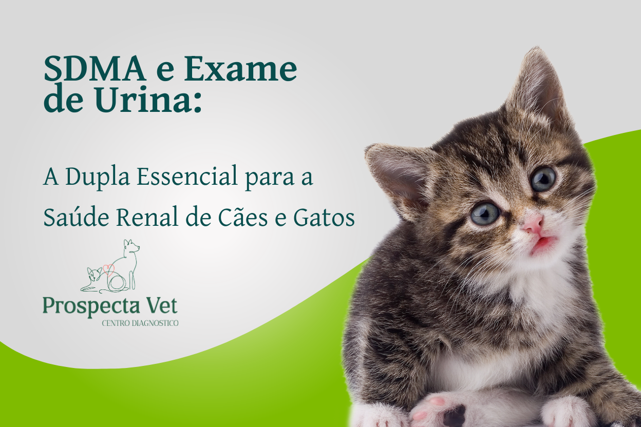 SDMA e Exame de Urina: A Dupla Essencial para a Saúde Renal de Cães e Gatos