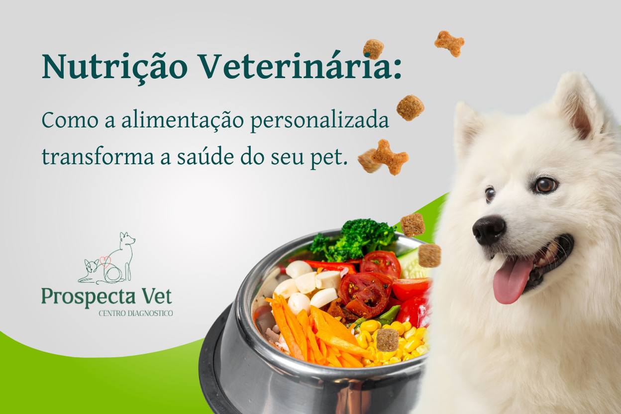 Nutrição Veterinária: como a alimentação personalizada transforma a saúde do seu pet